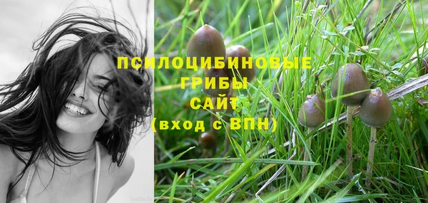 мефедрон Каменногорск