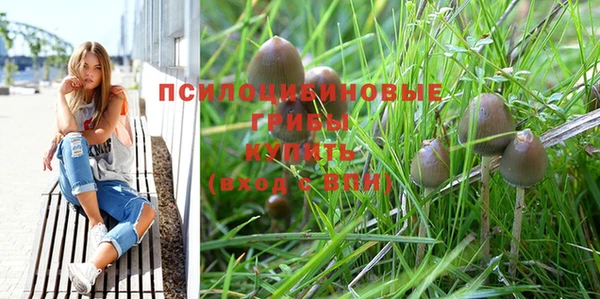 мефедрон Каменногорск