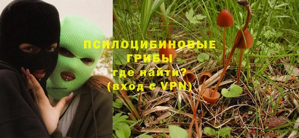 бутират Каменск-Шахтинский