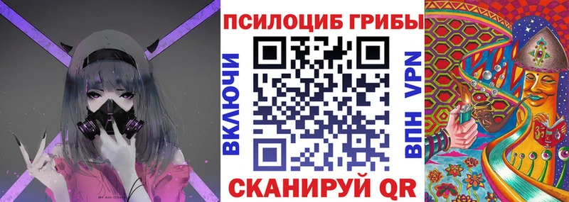 Купить где  Старая Купавна  Псилоцибиновые грибы Psilocybine cubensis 